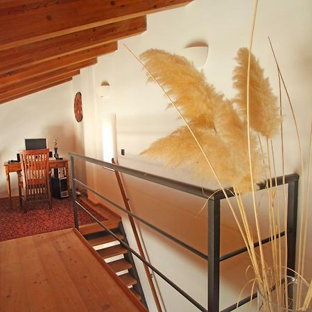 Spacious Villa In Parecag With A Swimming Pool Sečovlje Buitenkant foto